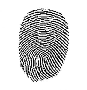 sufficiency of latent fingerprint evidence for probable cause purposes